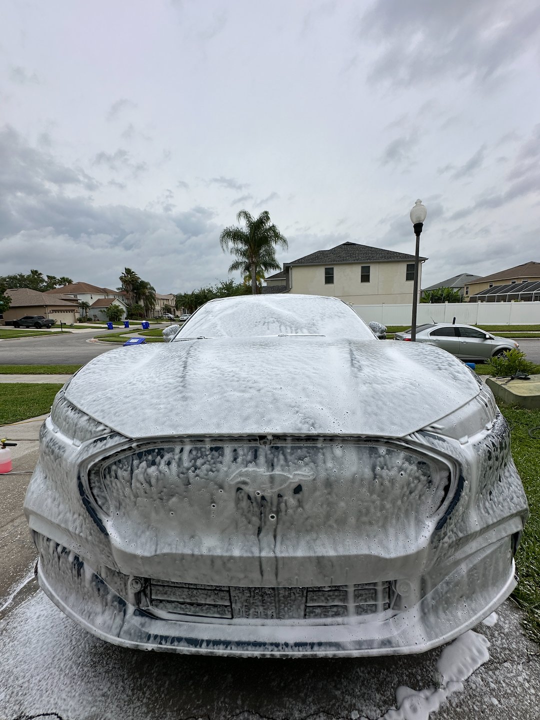 Could Tom Cruise Slide Across Your Hood? 3 Year Ceramic Coating a Mach-E in Orlando, FL